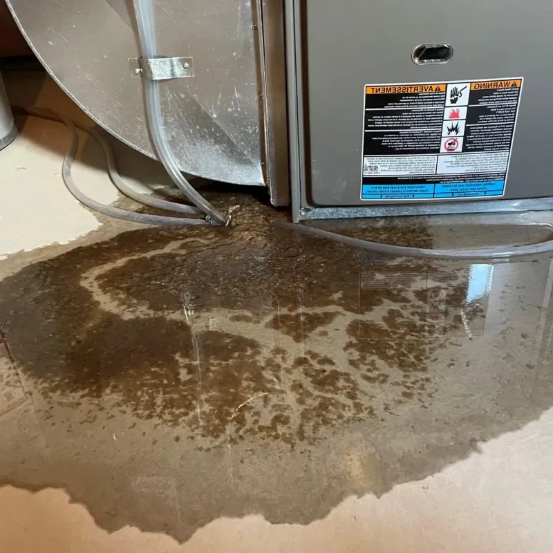 Pipe Burst and Leak Restoration in Stowe, VT